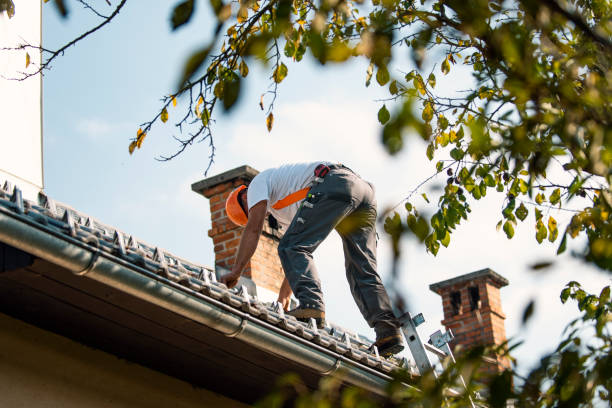 Best Chimney Flashing Repair  in Lexington, KY